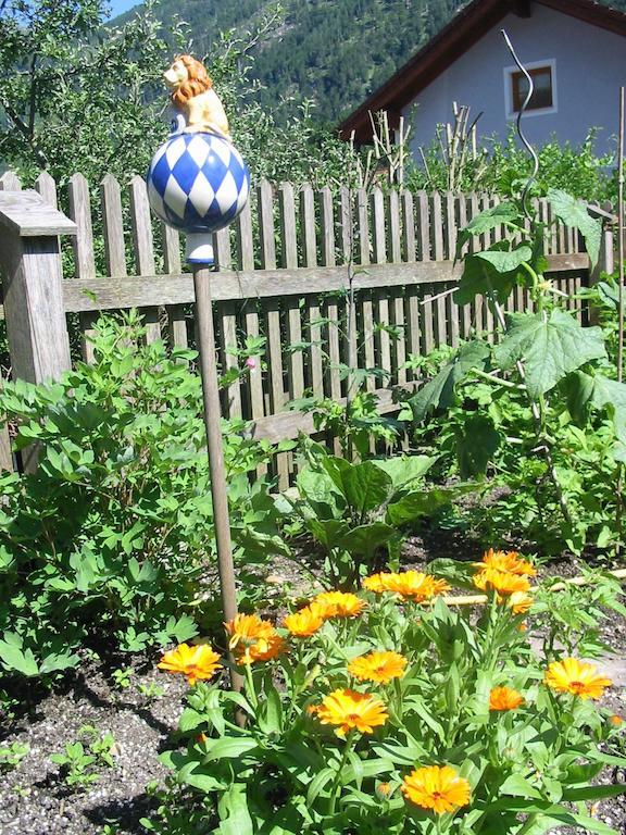 Ferienwohnung Am Pflanzgarten ابينسي المظهر الخارجي الصورة