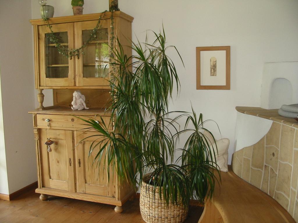 Ferienwohnung Am Pflanzgarten ابينسي الغرفة الصورة