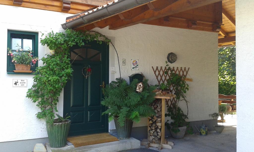 Ferienwohnung Am Pflanzgarten ابينسي المظهر الخارجي الصورة