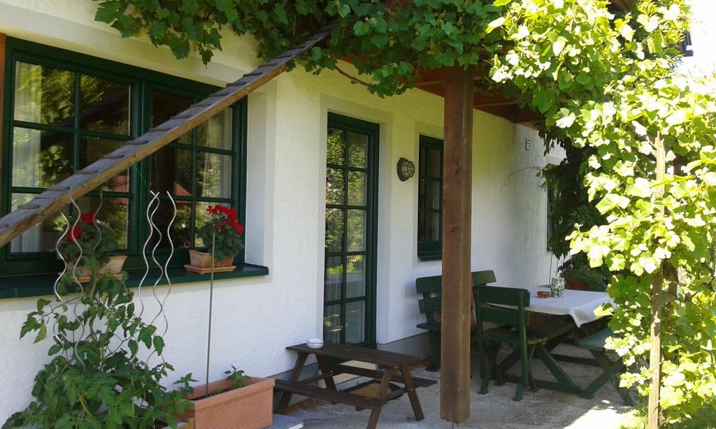 Ferienwohnung Am Pflanzgarten ابينسي المظهر الخارجي الصورة